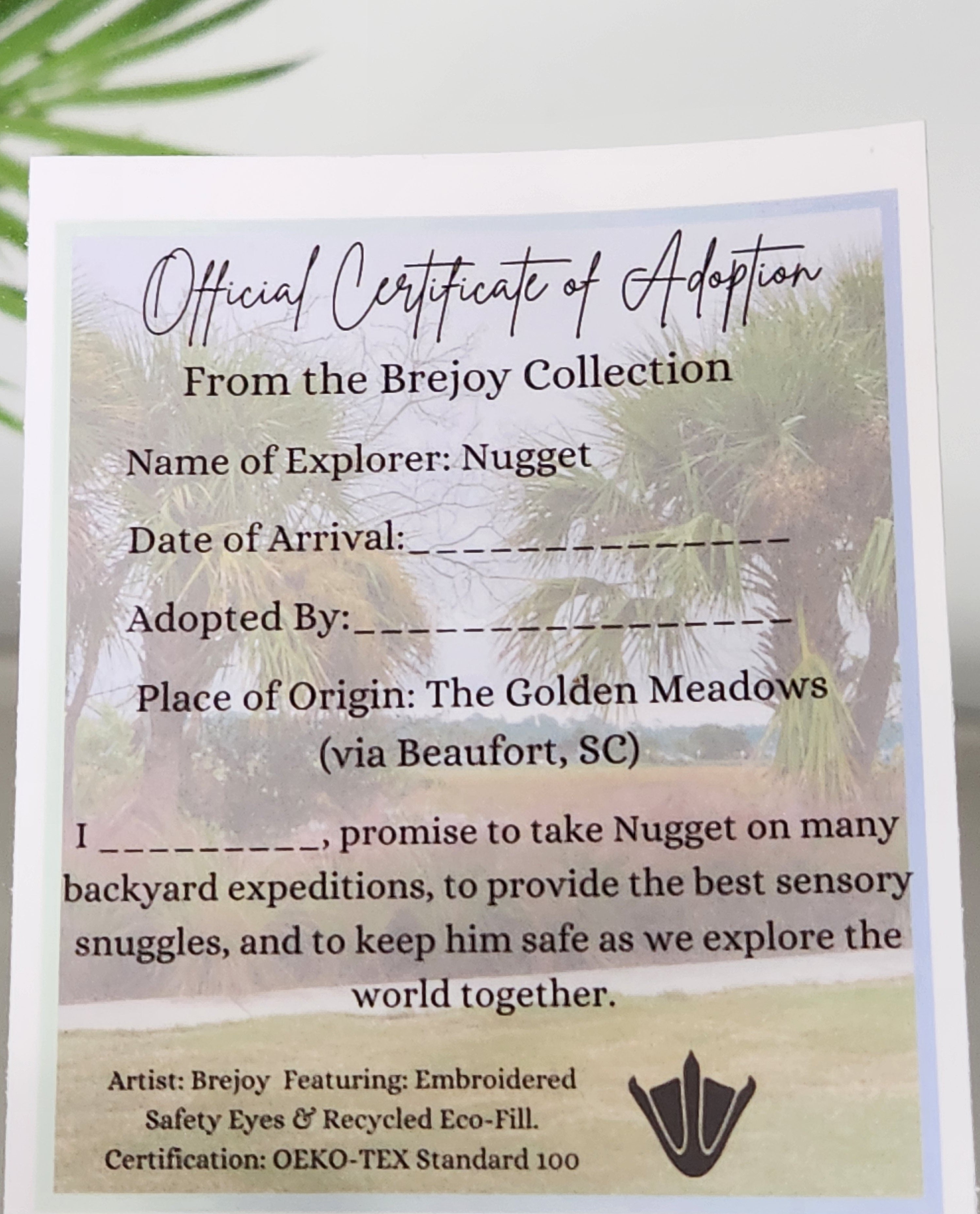 Official Brejoy Collection adoption certificate featuring a scenic Beaufort SC marsh backdrop with palm trees and a signature duck footprint at the bottom