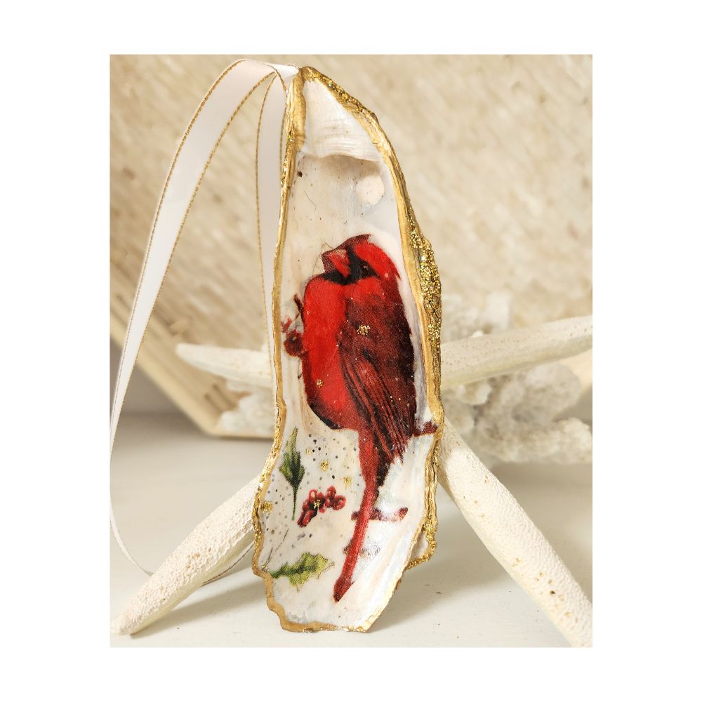 A handcrafted gilded oyster shell ornament featuring a decoupaged red cardinal design on a long shell, adorned with loose red berries and two separate green leaves pointing in different directions. Finished with a white and gold satin ribbon hanger against a starfish and white coral
